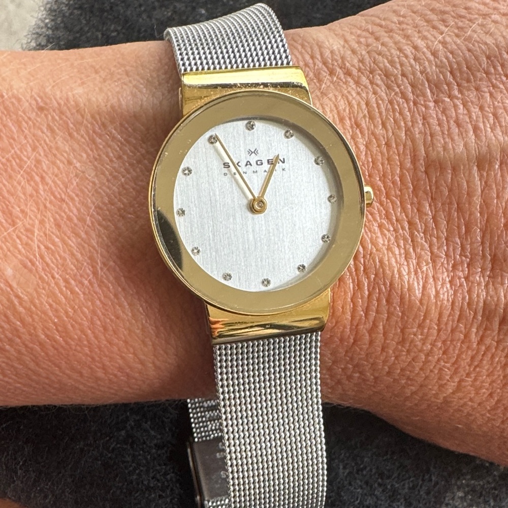 Skagen Two-Tone Mesh Bracelet Watch — Silver Dial & Gold Bezel